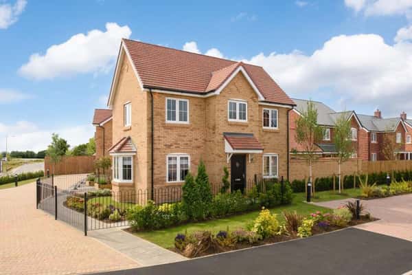 Bronze Fields - Image 3