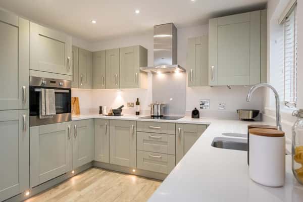 Bronze Fields - Image 9