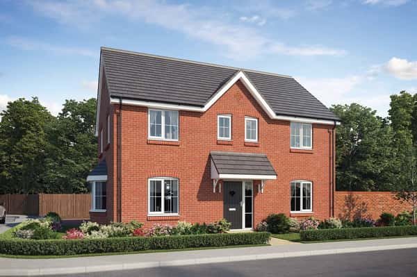 Chestnut Vale - Image 3