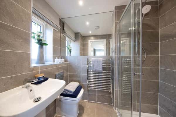 Cotton Woods - Image 13