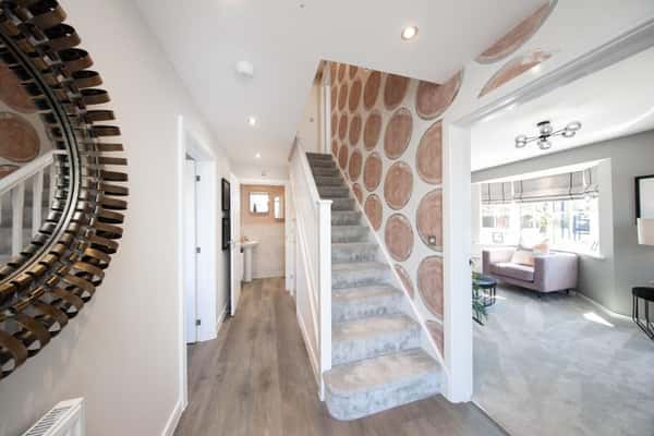 Cotton Woods - Image 20