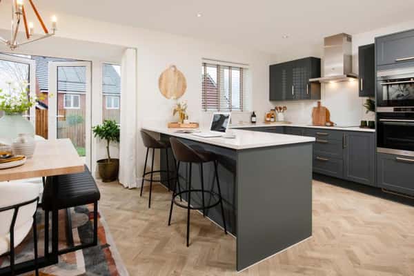 Darwin's Edge - Image 9