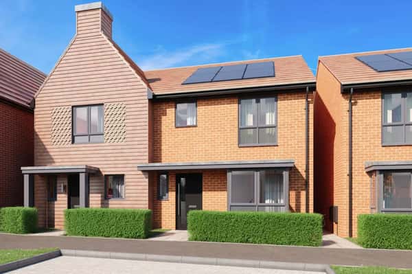 Fallow Wood View - Image 2