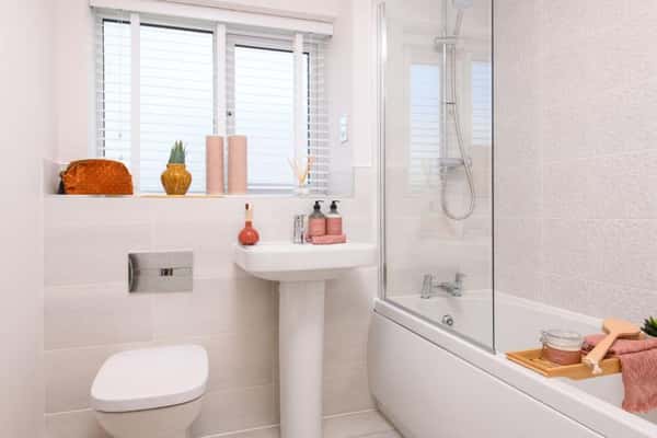 Forest Walk - Image 15