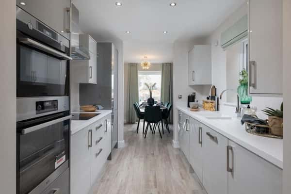 Lucas Green - Image 8