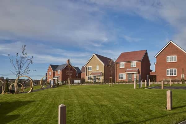 Poppy View - Image 2