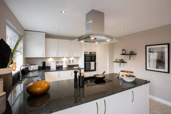 Rhiwlas at Plasdŵr - Image 9