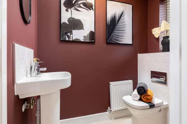 Ridley's Orchard - Image 13