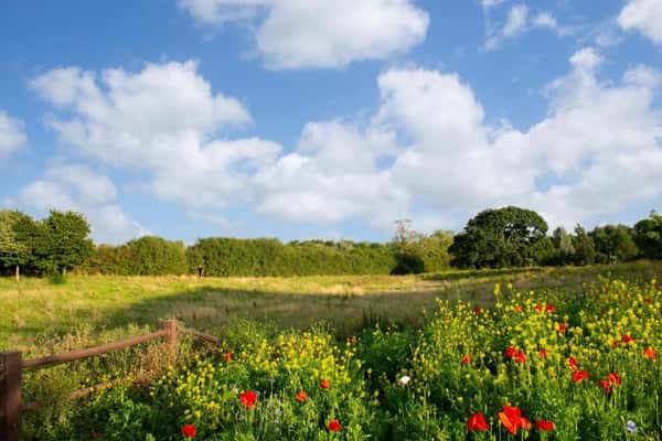 Tattenhoe Park - Image 18