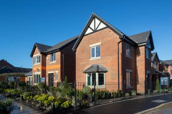 Weaver Green - Image 3