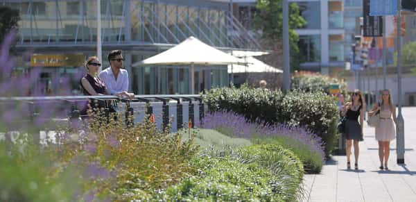 Battersea Reach - Image 11