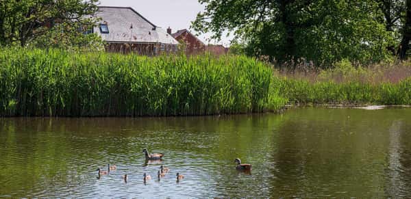 Edenbrook Village - Image 4