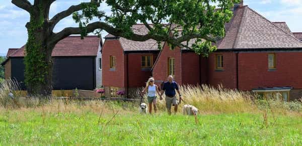 Farmstead - Image 2