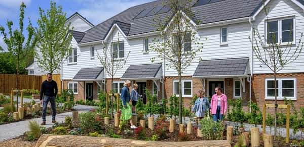Foal Hurst Green - Image 11