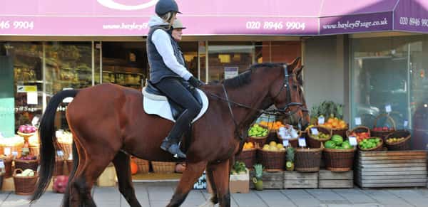 Holmhurst Mews - Image 10