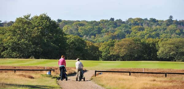 Holmhurst Mews - Image 6