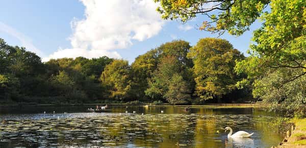 Holmhurst Mews - Image 8