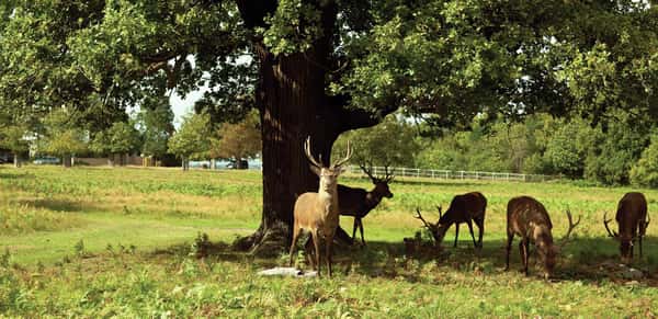 Langham Square - Image 13