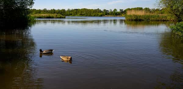 Pinewood Green - Image 10