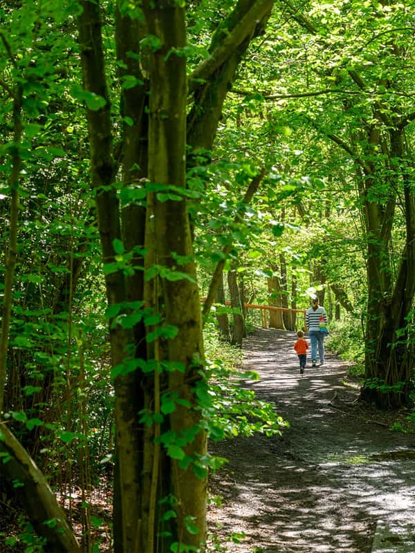 Pinewood Green - Image 14