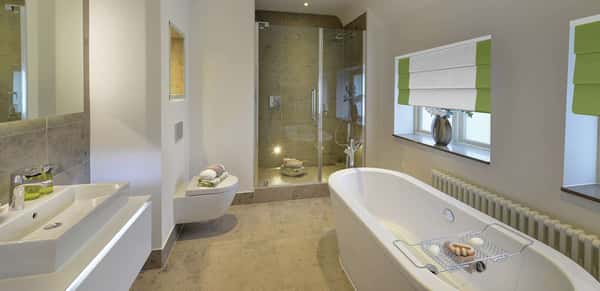 Silk Woods - Image 8