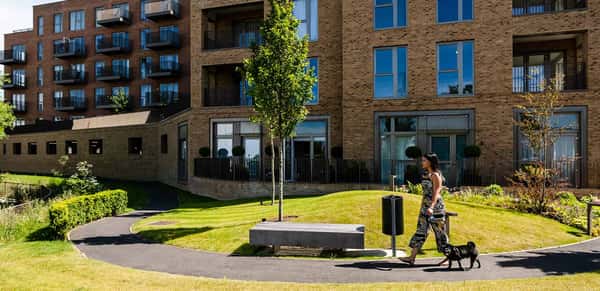 The Arches - Image 5