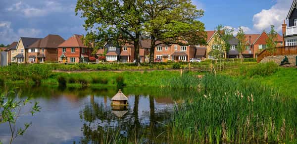 The Bloom Collection - Image 1