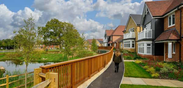 The Bloom Collection - Image 6