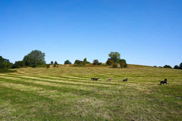 Albany Park - Image 2