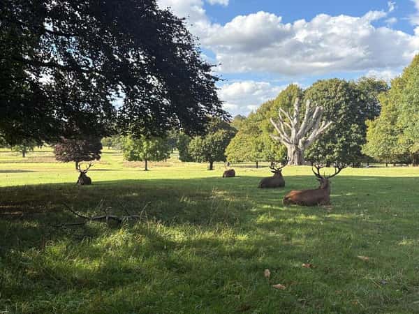 Bovis Homes at Linby Meadows - Image 3