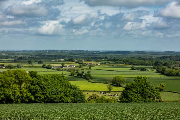King George Park - Image 5