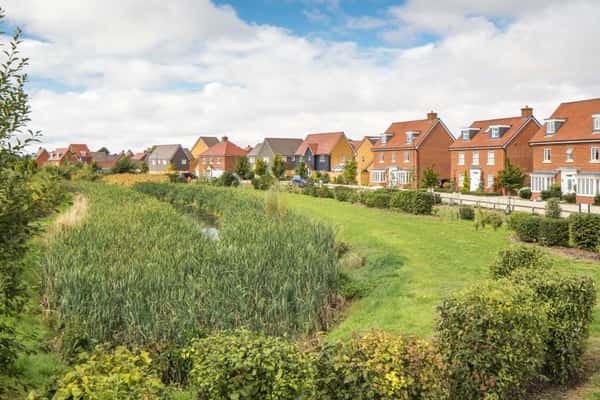 Orchard Green - Image 7