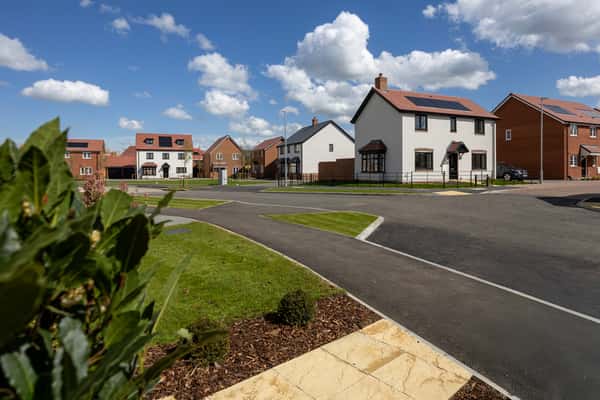 The Skylarks - Image 2