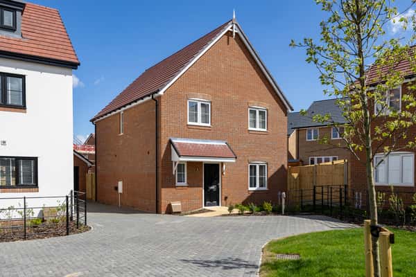 The Skylarks - Image 4