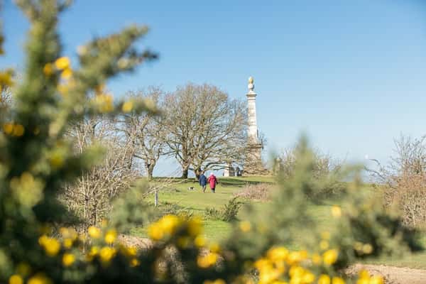 Arabella Park - Image 11