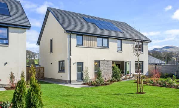 Ballagan Woods - Image 2