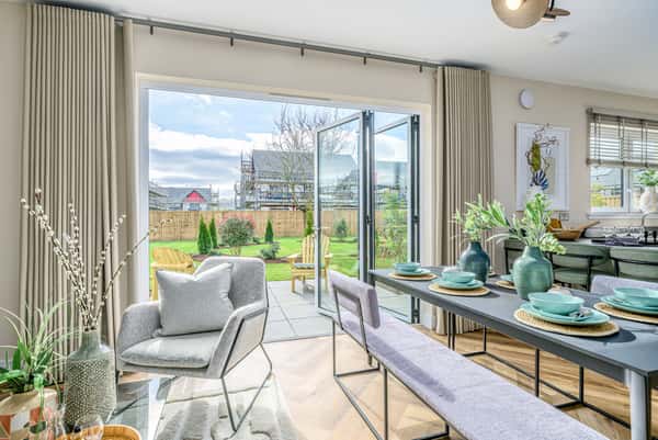 Ballagan Woods - Image 3