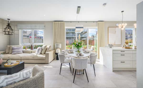 Ballagan Woods - Image 4