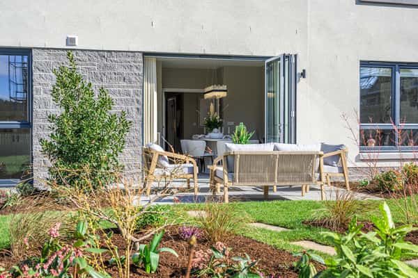 Ballagan Woods - Image 5