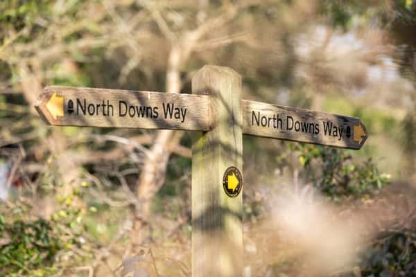 Birchwood, Farnham, Surrey - Image 13