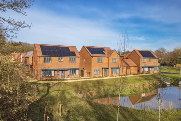 Chestnut Fields - Image 10