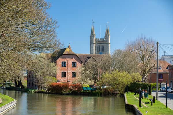 Knights Grove - Image 3