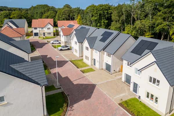 Pinefields, Livingston - Image 2