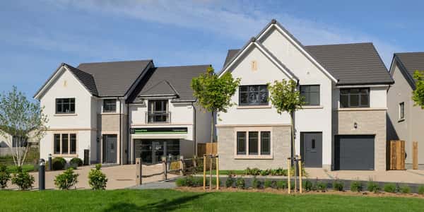 Raemoir Park, Banchory - Image 5