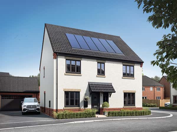 Bramble Green - Image 14