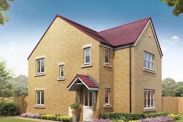 Festival Park - Image 2