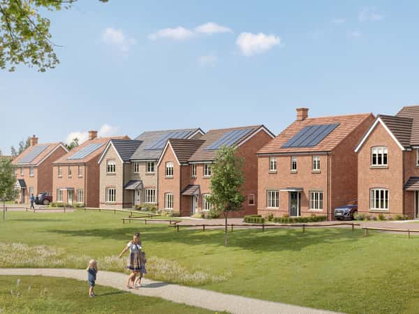 Forest View - Image 1