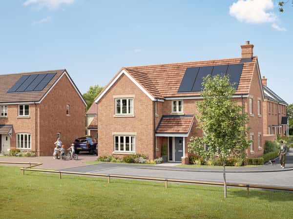 Forest View - Image 2