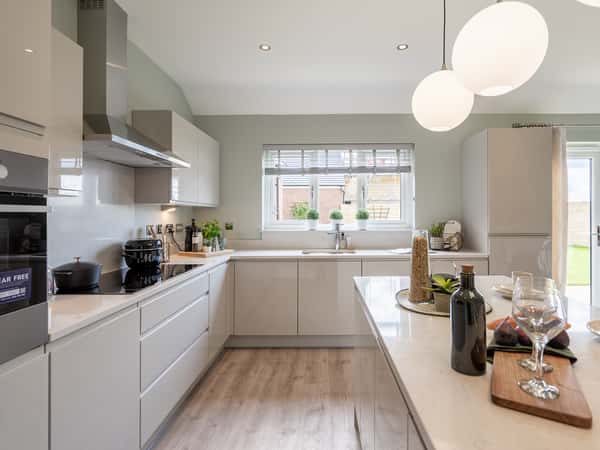 Germany Beck - Image 7