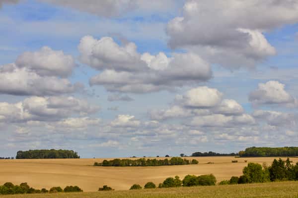 Amber Mews - Image 2